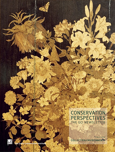 Conservation perspectives